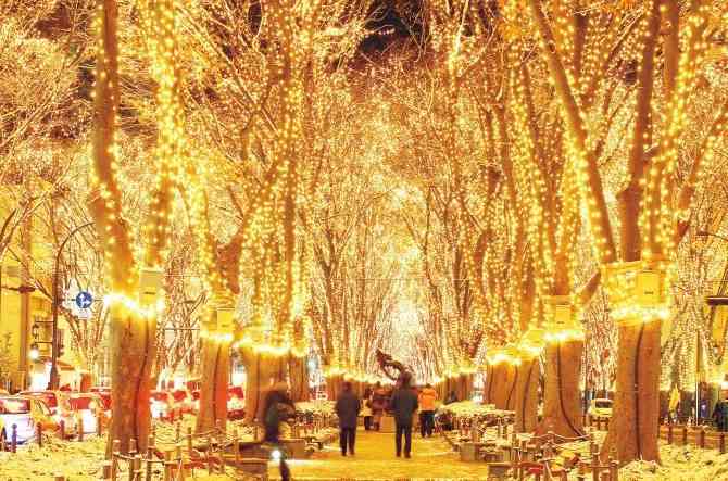 わくわくする冬の画像を下さい！