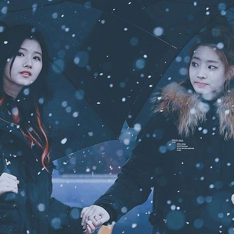 わくわくする冬の画像を下さい！