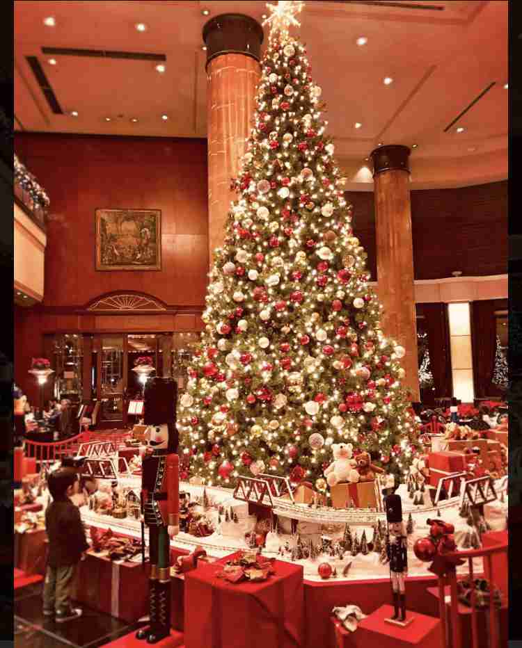 わくわくする冬の画像を下さい！