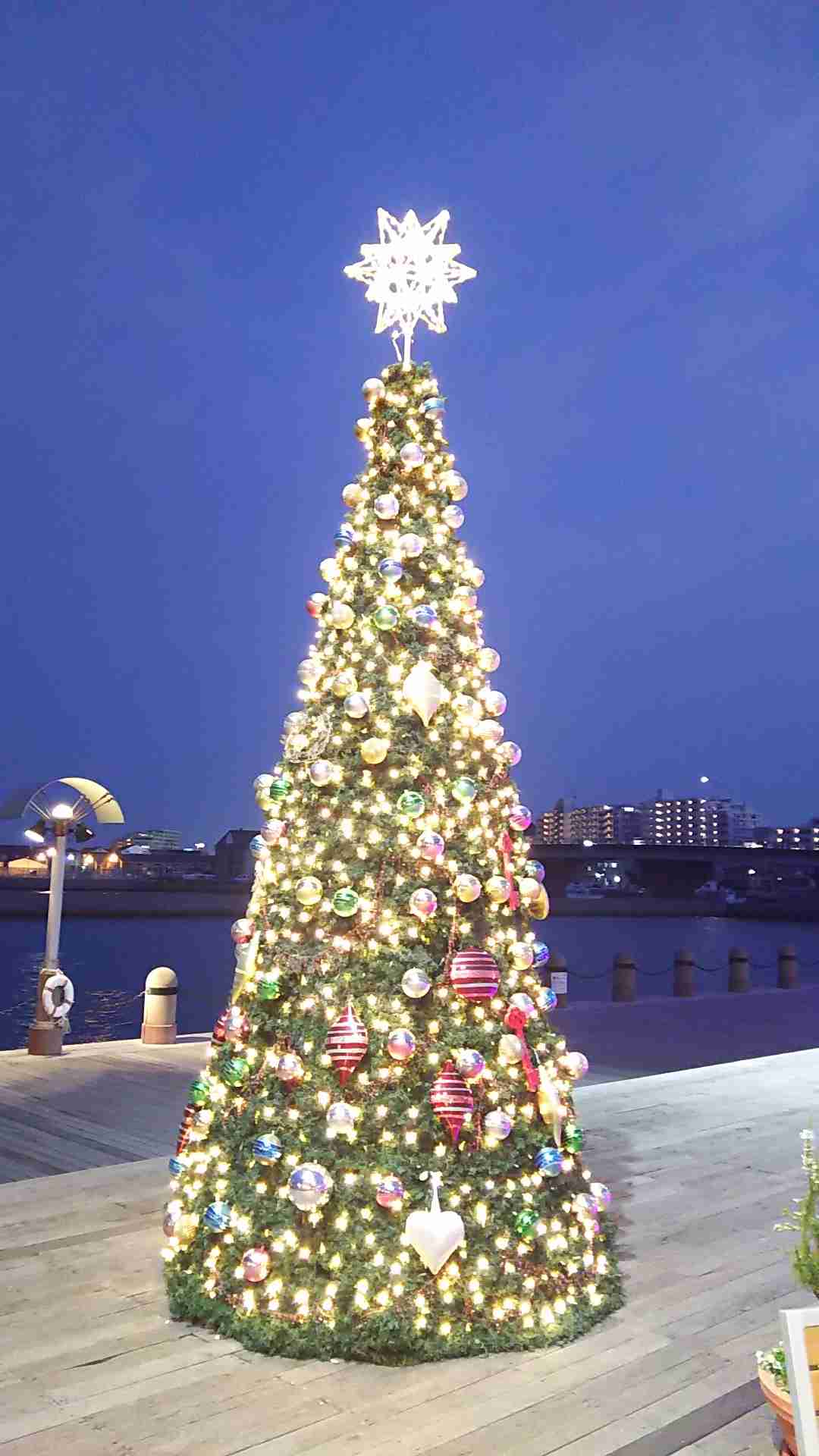 わくわくする冬の画像を下さい！