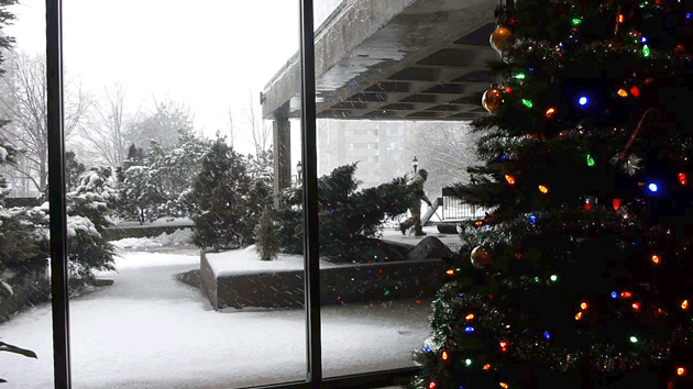 わくわくする冬の画像を下さい！