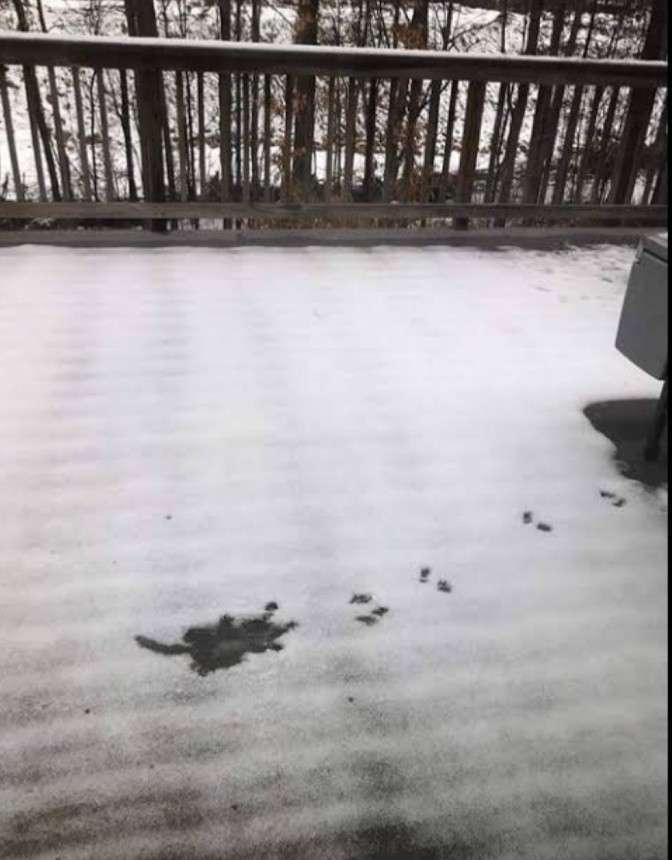 わくわくする冬の画像を下さい！