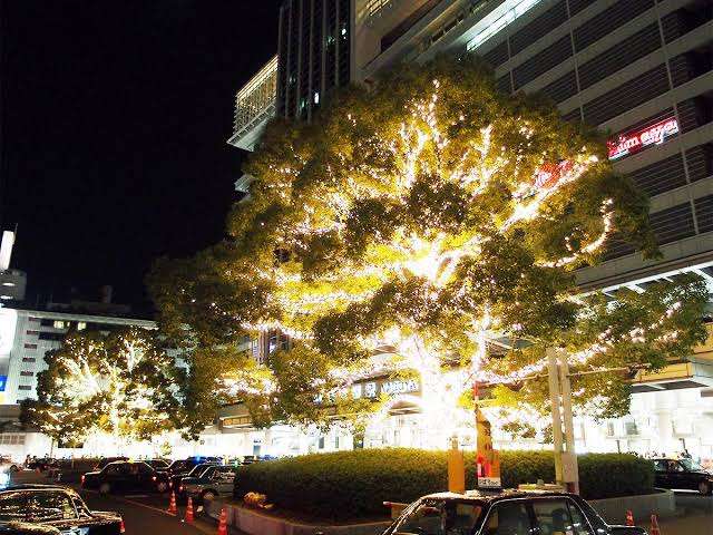 わくわくする冬の画像を下さい！