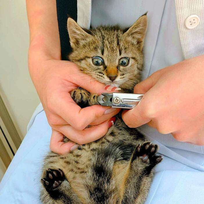 小さな目標を考えて欲しい!