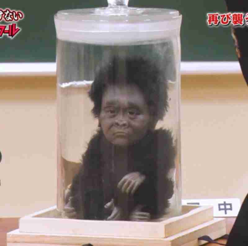 ガキ使の「笑ってはいけない」のあるある