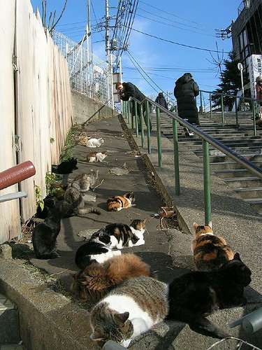 【都道府県】地元ですが行ったことない観光地
