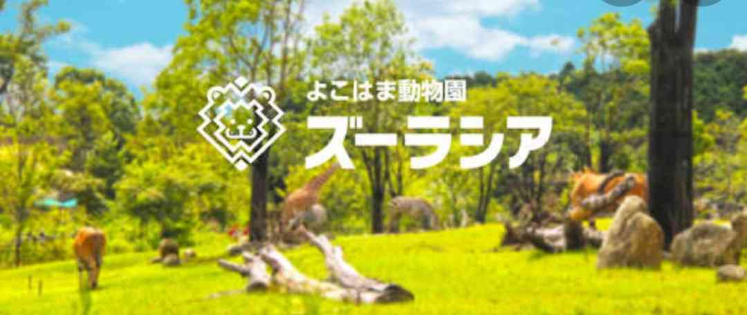 【都道府県】地元ですが行ったことない観光地