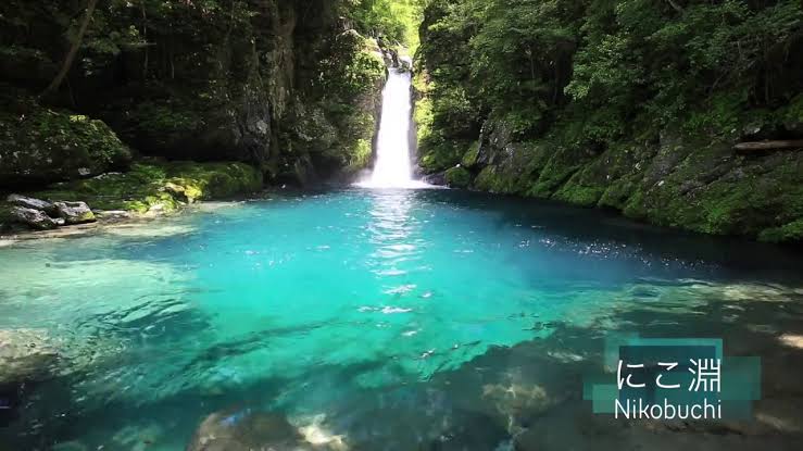 【都道府県】地元ですが行ったことない観光地