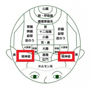 コーヒー愛飲者、眼圧低く…京大、9000人調査で確認