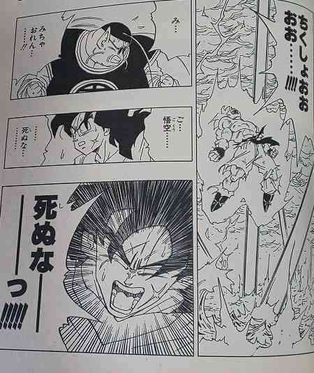 【ドラゴンボール】結婚するなら誰を選びますか？