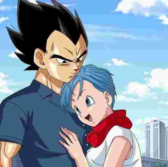 【ドラゴンボール】結婚するなら誰を選びますか？