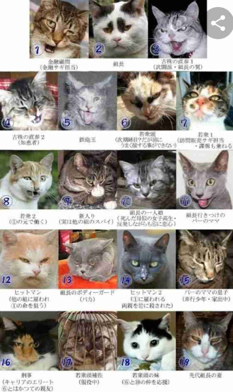 ガルちゃんでよく貼られる画像をまとめよう★part2