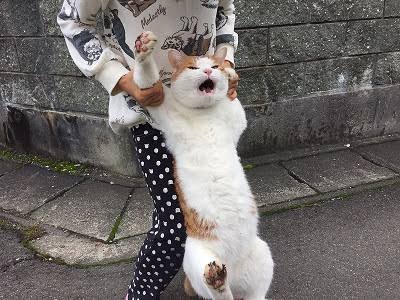 ガルちゃんでよく貼られる画像をまとめよう★part2