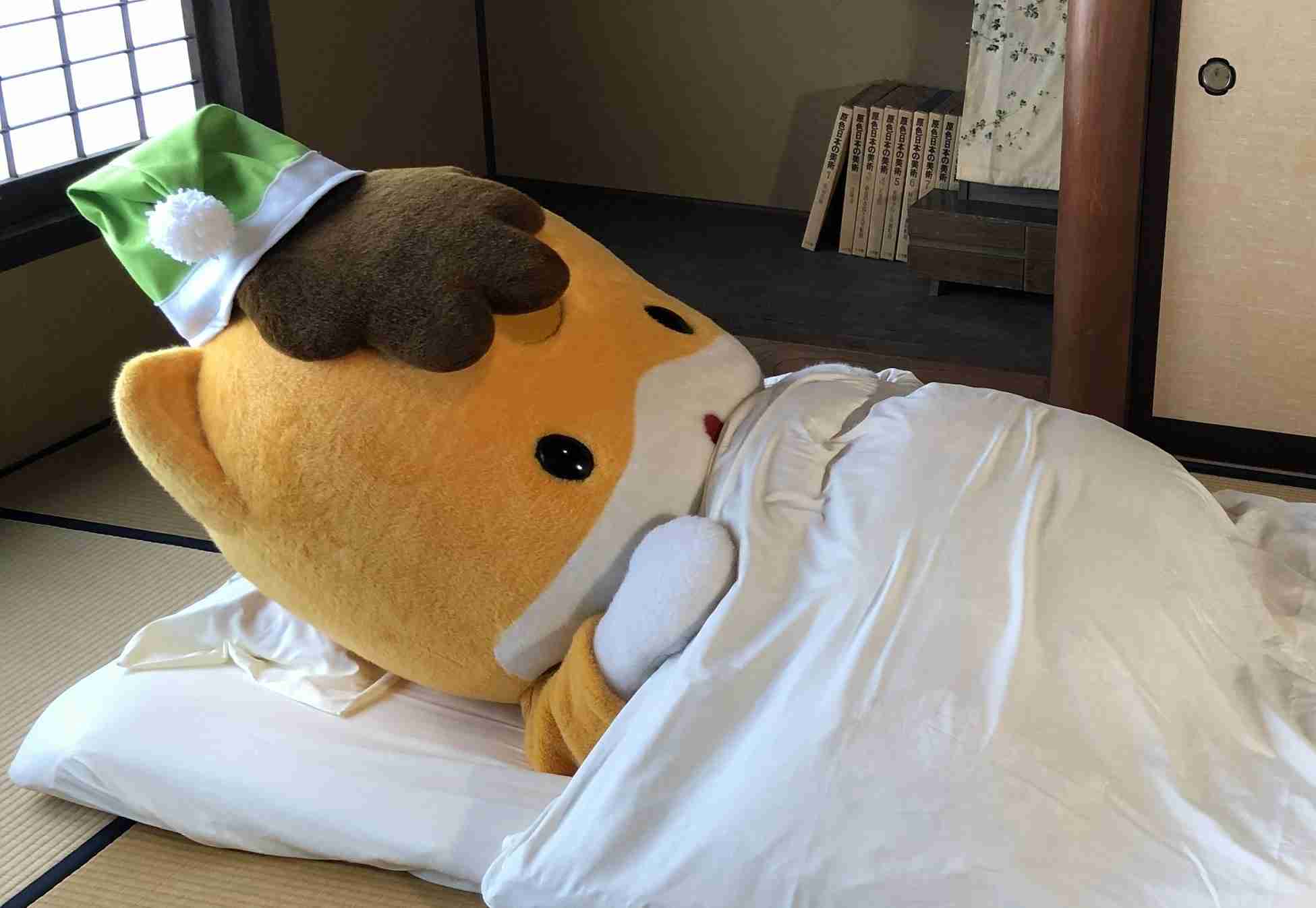 ぐんまちゃんが好き