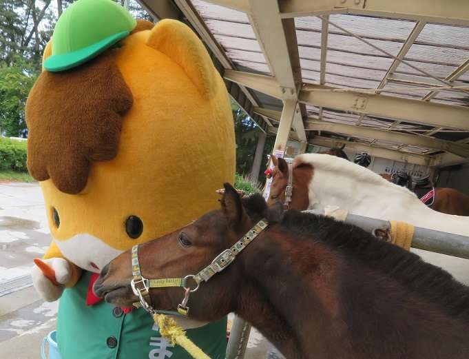 ぐんまちゃんが好き