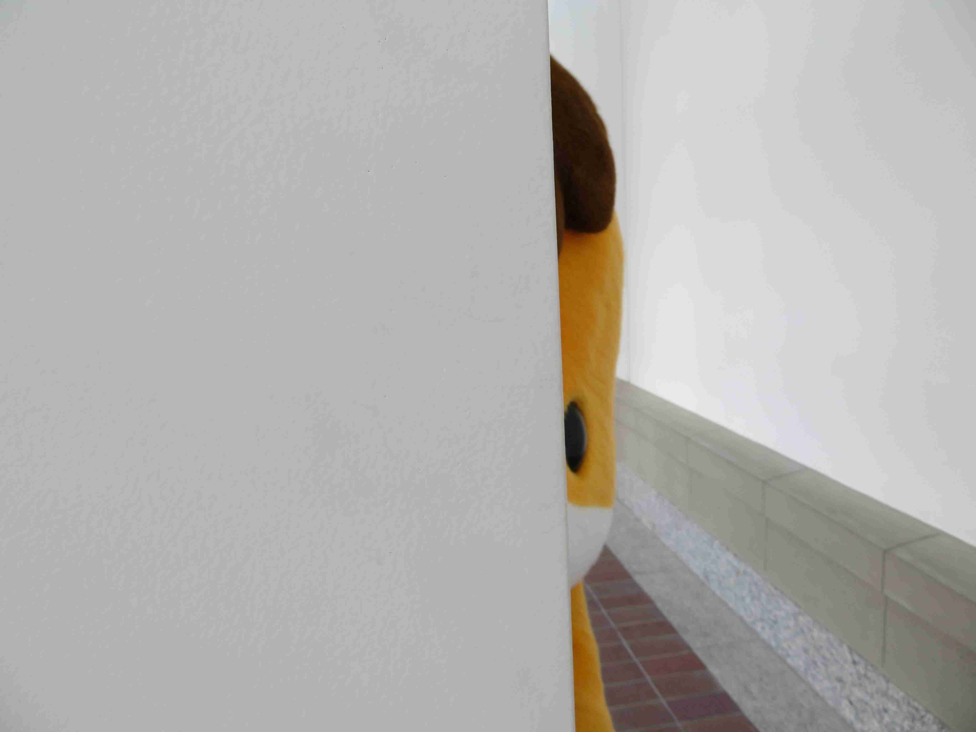 ぐんまちゃんが好き