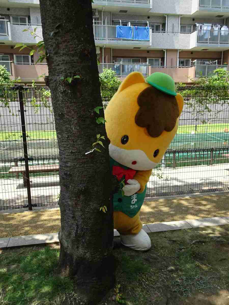 ぐんまちゃんが好き