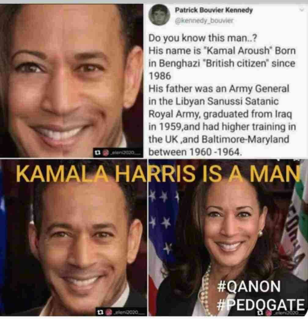 女性初、黒人初、アジア系初!米副大統領になるカマラ・ハリスってどんな人?