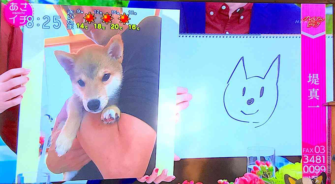 芸能人画伯【下手絵選手権】