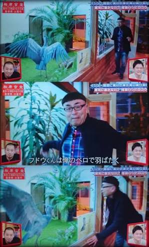 視線を感じるトピ