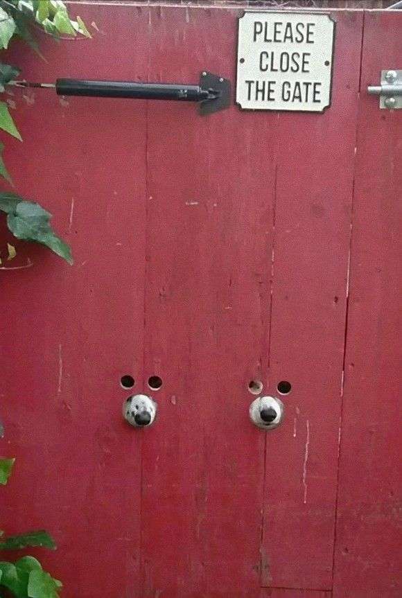 視線を感じるトピ