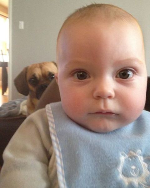 視線を感じるトピ