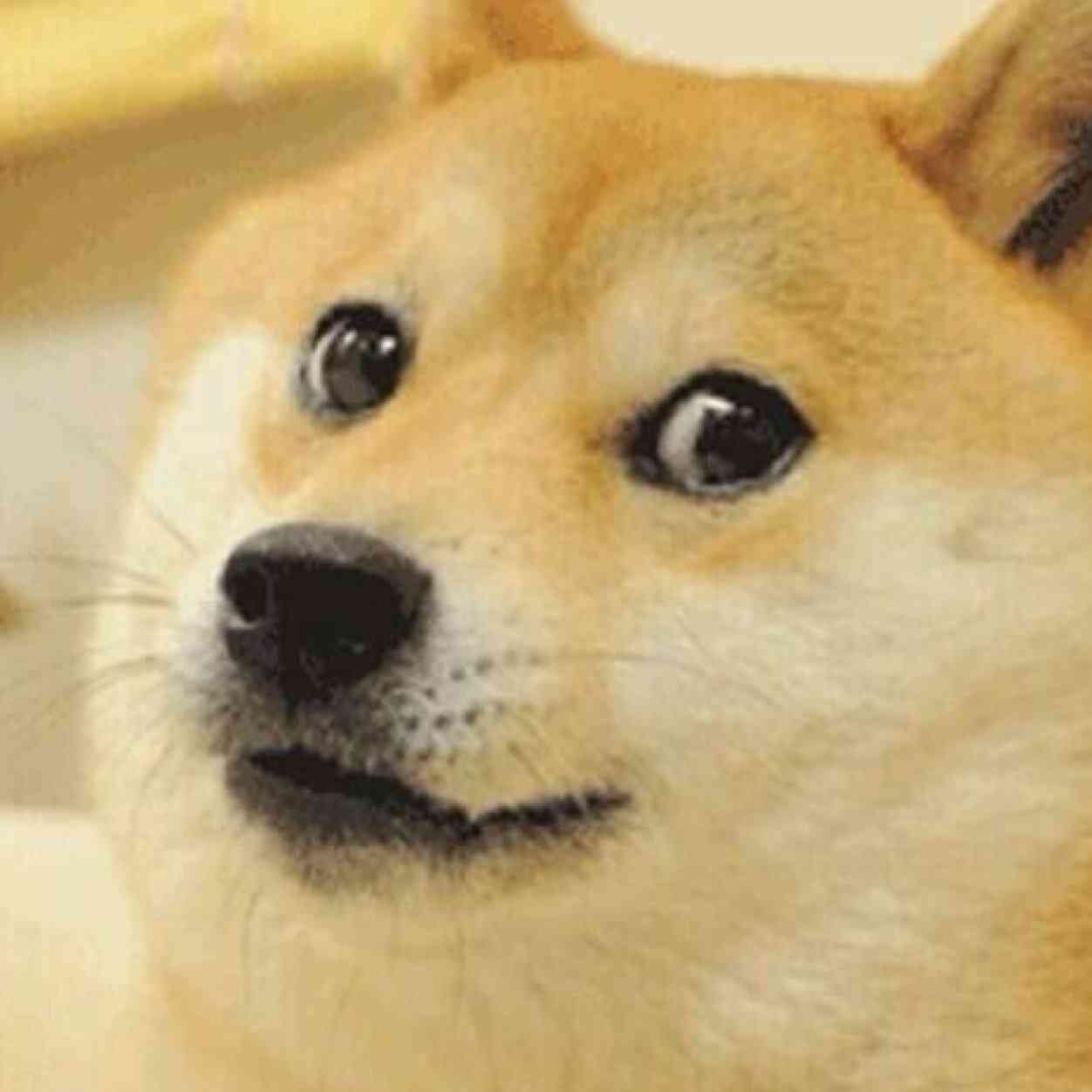 視線を感じるトピ