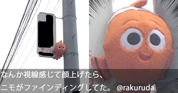 視線を感じるトピ