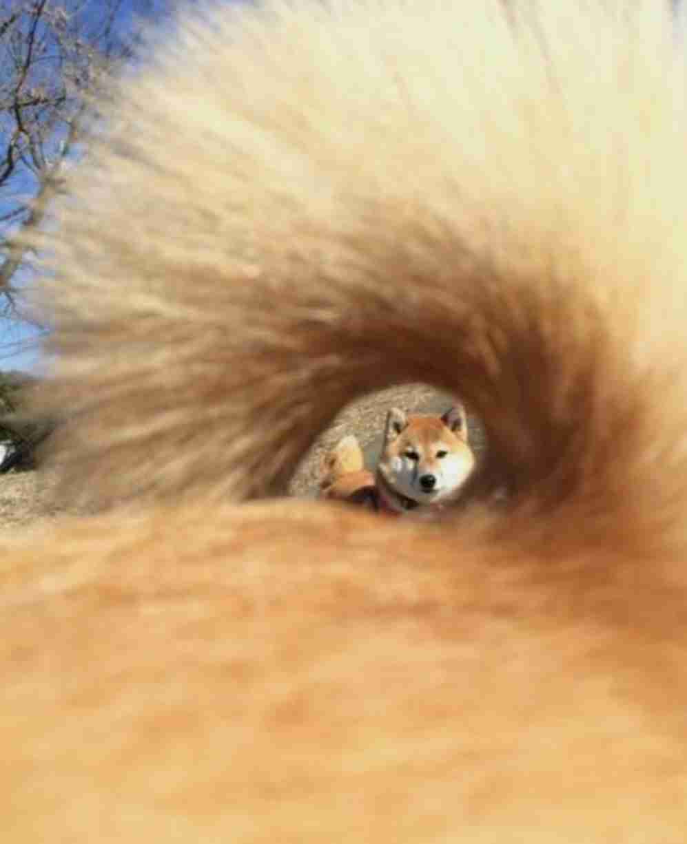 視線を感じるトピ