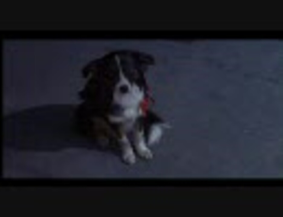 視線を感じるトピ