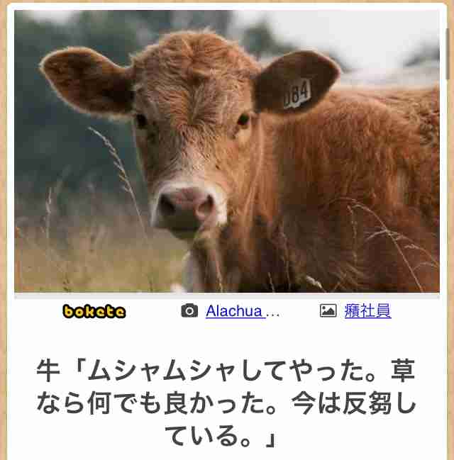 人の咀嚼音が極端に苦手な人！