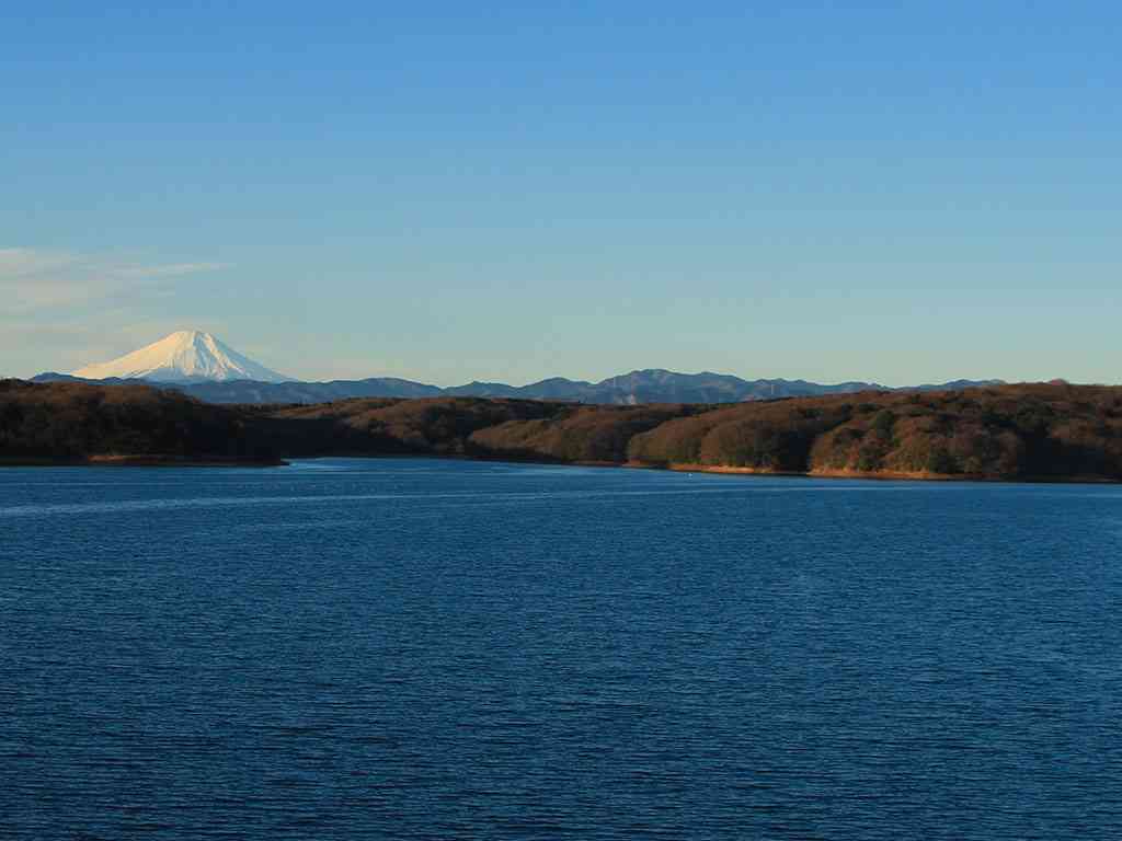 【今日は県民の日】埼玉県を語ろう！【コロナ以外】