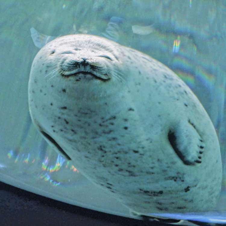 今日一日ガルちゃんにいいコメントだけ書きましょう！