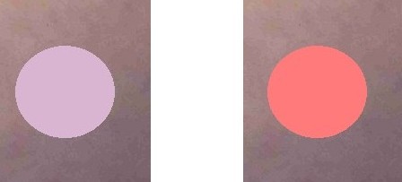 【パーソナルカラー迷子】みんなで考察したい