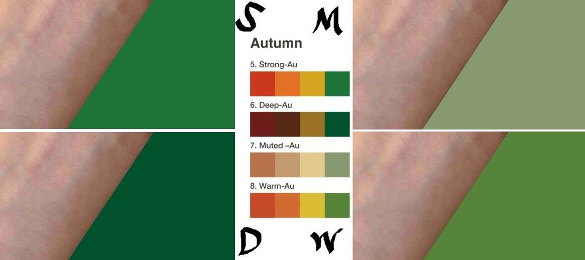 【パーソナルカラー迷子】みんなで考察したい