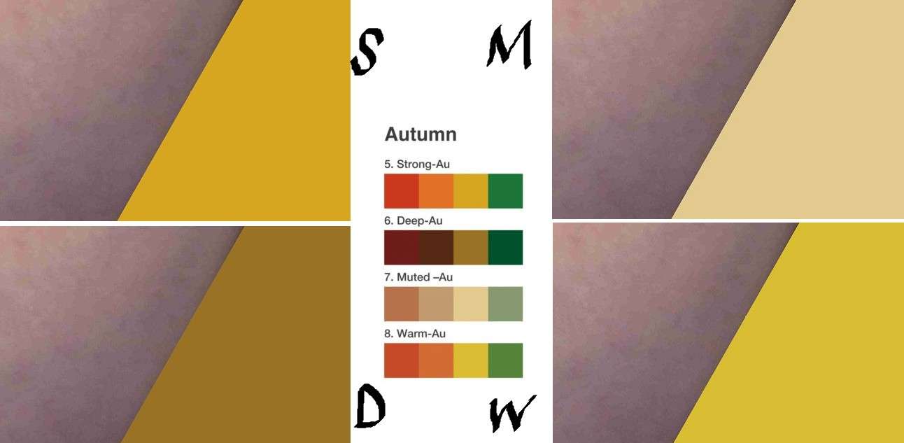 【パーソナルカラー迷子】みんなで考察したい