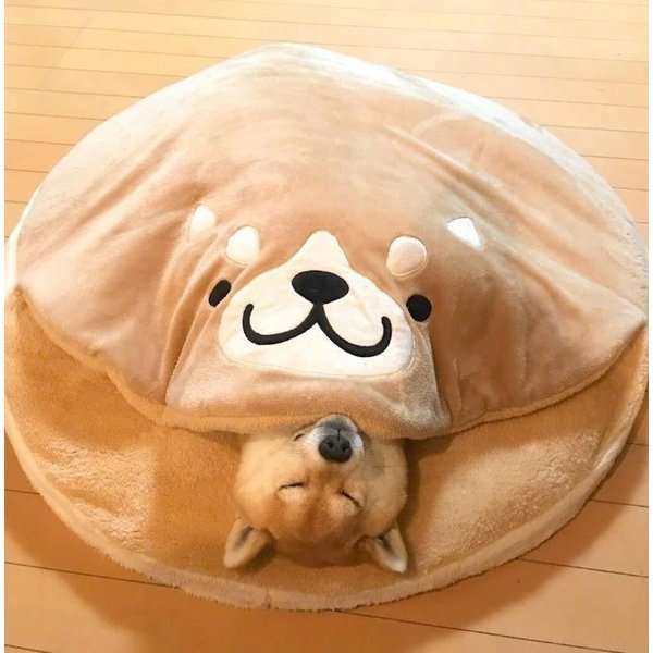 コテハン付きで雑談しませんか？