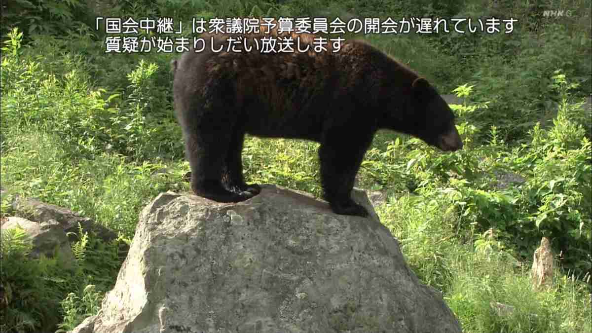 おかあさんといっしょ関連 他Eテレ子供番組応援トピ Part45