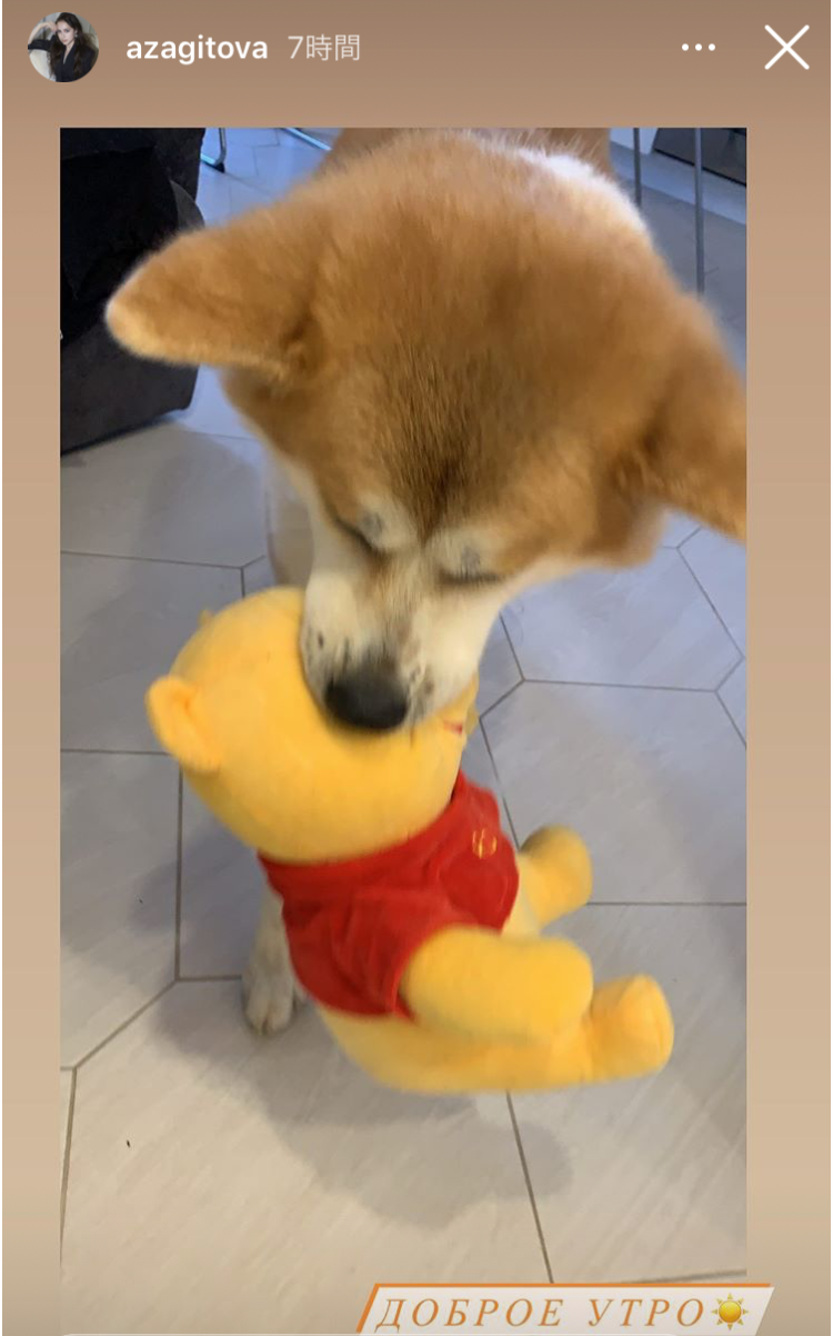 ザギトワ愛犬マサルがエアウィーヴと契約更新 そろってリモート出演「元気にしています」