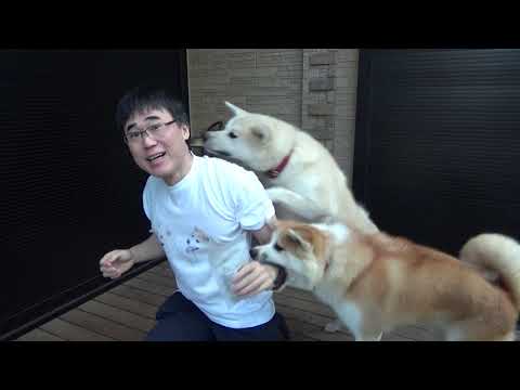 ザギトワ愛犬マサルがエアウィーヴと契約更新 そろってリモート出演「元気にしています」