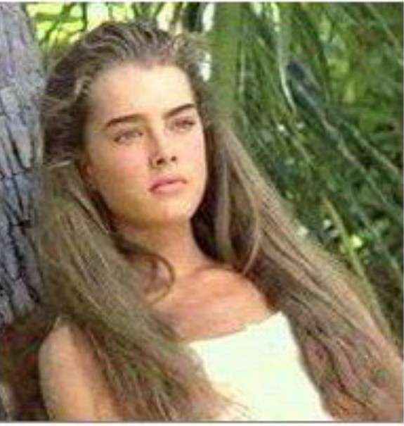 80、90年代のハリウッドスターを語ろう