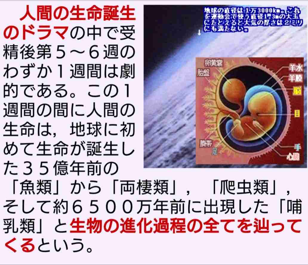 コロナワクチン迅速接種へ法改正　接種費用、政府が負担　閣議決定