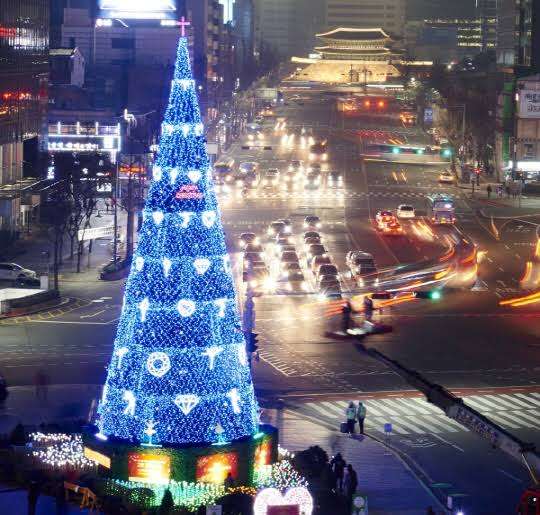 クリスマスツリー出しましたか？