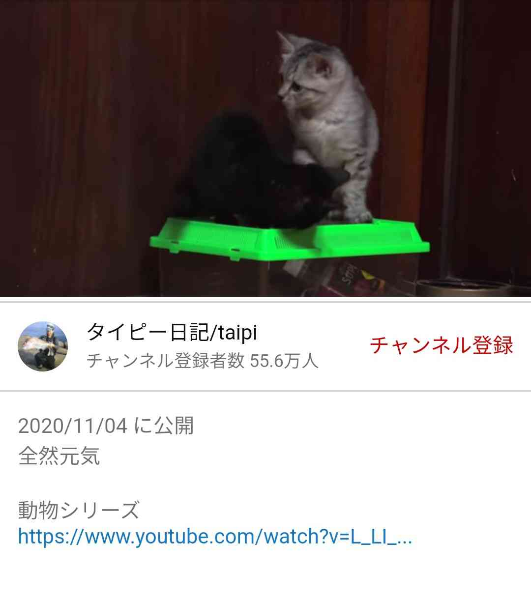 ペット系YouTuberについて語りたい Part2