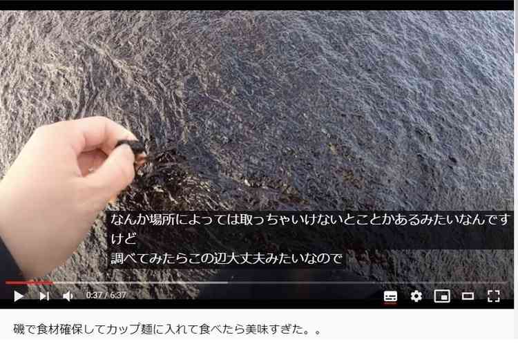 ペット系YouTuberについて語りたい Part2