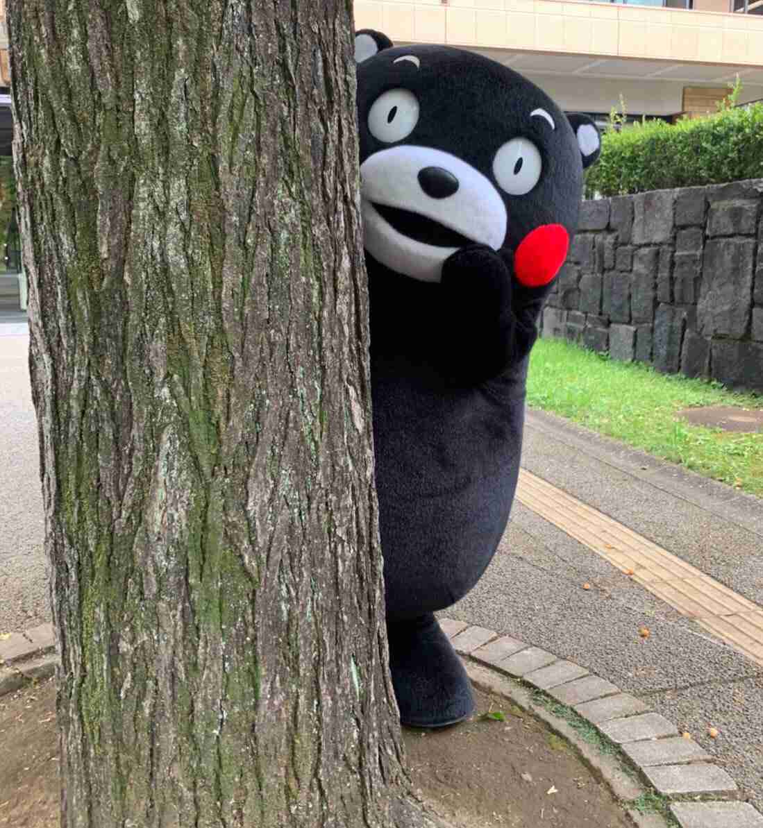 今月の雑談トピ【2020年11月】