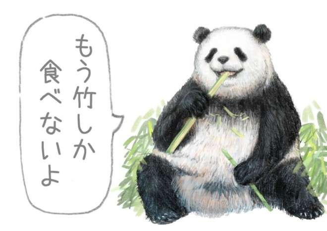 今までで1番落ち込んだこと、辛かったこと