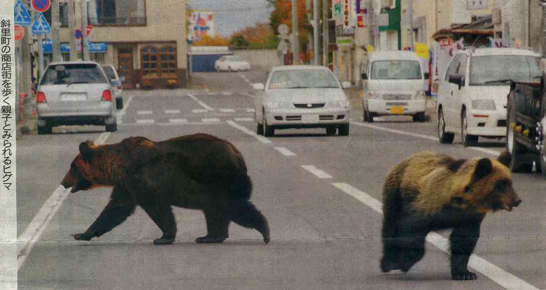殺人クマでも駆除しないで！……猟友会や自治体に抗議電話する人々の正体