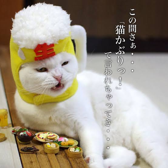 最近癒されたこと