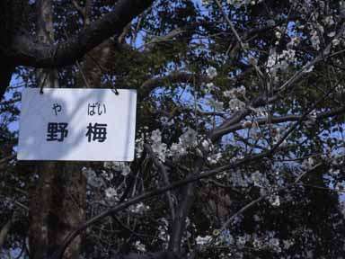 使える社交辞令